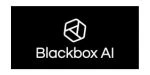 BLKBOX.ai